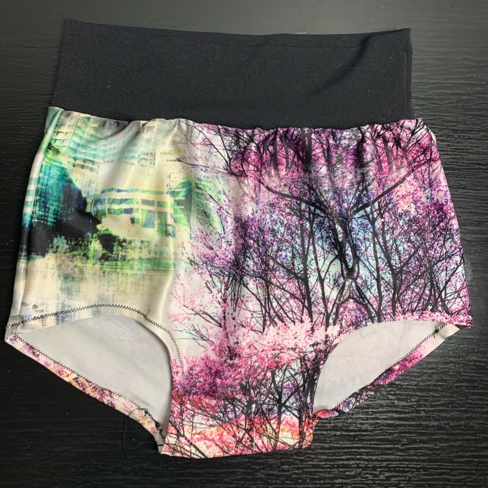 dance shorts, basically leotard bottoms !